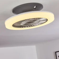 Ventilateur de plafond Somalia LED Argenté, Transparent, 1 lumière