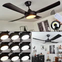 Ventilateur de plafond Tjerne LED Noir, 1 lumière, Télécommandes