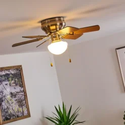 Ventilateur de plafond Trillo Nickel mat, 1 lumière