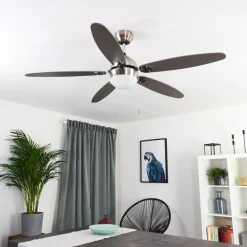 Ventilateur de plafond Valeria Chrome, Bois clair, Nickel mat, 1 lumière