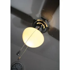 Ventilateur Globo CHAMPION Chrome, Acier inoxydable, Blanc, 1 lumière