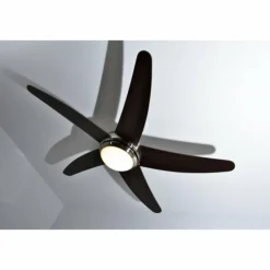 Ventilateur Globo FABIOLA Acier inoxydable, Nickel mat, 1 lumière, Télécommandes