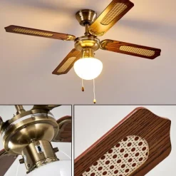 Ventilateurs de Plafond Morea Vieux laiton, Bois foncé, 1 lumière