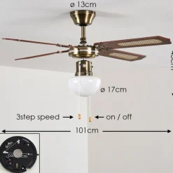 Ventilateurs de Plafond Morea Vieux laiton, Bois foncé, 1 lumière