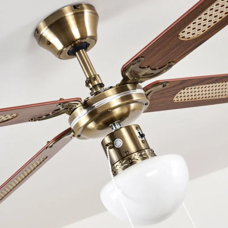 Ventilateurs de Plafond Morea Vieux laiton, Bois foncé, 1 lumière
